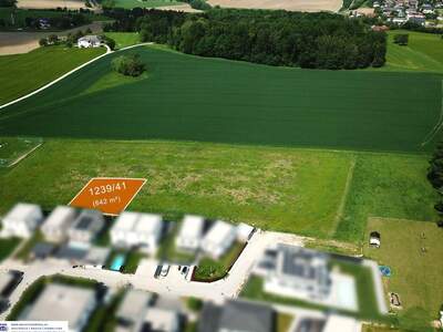 Haus kaufen in 4223 Ruhstetten (Bild 2)