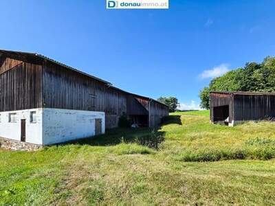 Haus kaufen in 3924 Niederneustift