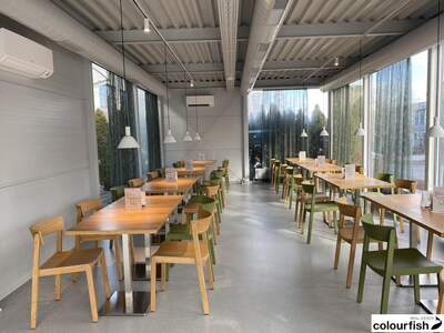 Gewerbeobjekt mieten in 2320 Schwechat (Bild 2)