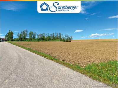 Grundstück kaufen in 4483 Hargelsberg (Bild 4)