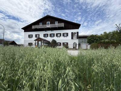 Haus kaufen in 3950 Dietmanns