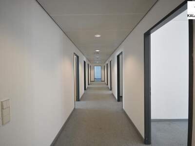 Gewerbeobjekt mieten in 1050 Wien (Bild 4)