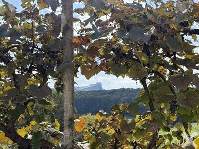 Haus kaufen in 8313 Lembach