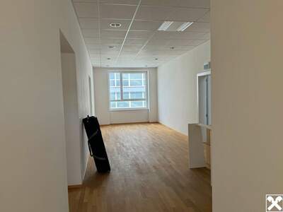 Gewerbeobjekt mieten in 2630 Ternitz (Bild 1)