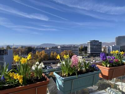 Mietwohnung in 8010 Graz (Bild 1)