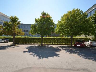 Wohnung mieten in 3400 Klosterneuburg (Bild 5)