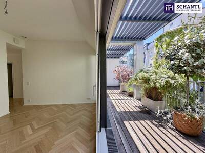 Terrassenwohnung kaufen in 1080 Wien (Bild 2)