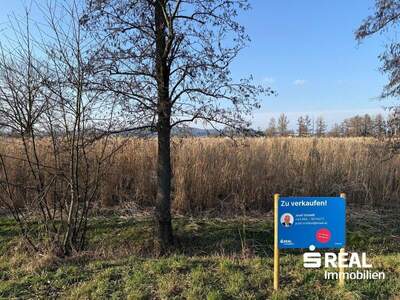 Grundstück kaufen in 5280 Braunau (Bild 1)