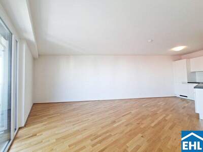 Terrassenwohnung mieten in 1020 Wien (Bild 2)