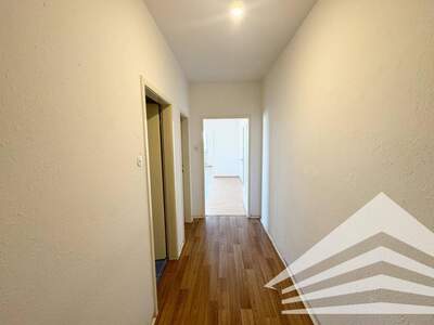 Wohnung mieten in 4053 Haid