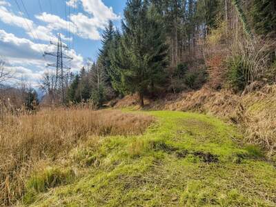 Grundstück kaufen in 8132 Pernegg (Bild 5)