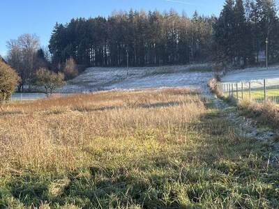 Grundstück kaufen in 4943 Geinberg (Bild 3)