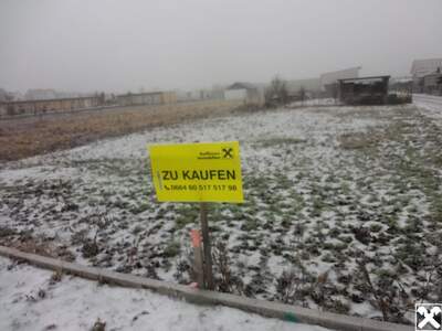 Grundstück kaufen in 7083 Purbach (Bild 2)