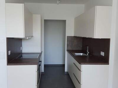 Terrassenwohnung mieten in 1220 Wien (Bild 1)