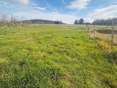 Grundstück kaufen in 9062 Moosburg (Bild 3)