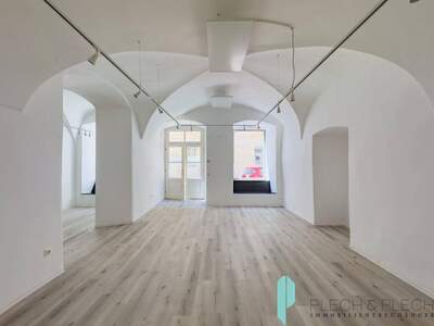 Gewerbeobjekt mieten in 1010 Wien