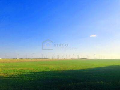 Gewerbeobjekt kaufen in 2424 Zurndorf