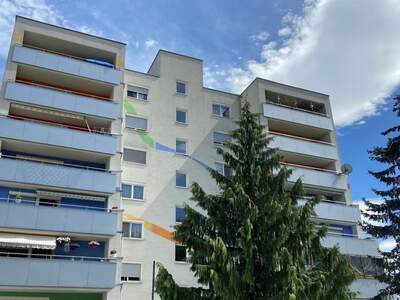 Wohnung mieten in 3150 Wilhelmsburg (Bild 1)