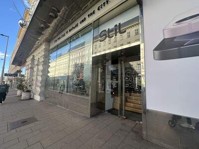 Gewerbeobjekt mieten in 1060 Wien (Bild 1)