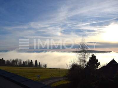 Terrassenwohnung kaufen in 4202 Kirchschlag (Bild 3)