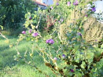 Grundstück kaufen in 5421 Adnet (Bild 2)