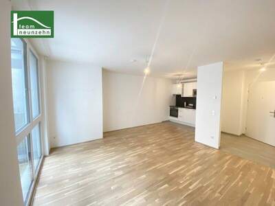 Terrassenwohnung mieten in 1200 Wien (Bild 3)
