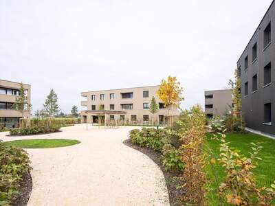 Anlageobjekt kaufen in 6973 Höchst