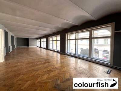 Gewerbeobjekt mieten in 1010 Wien (Bild 3)