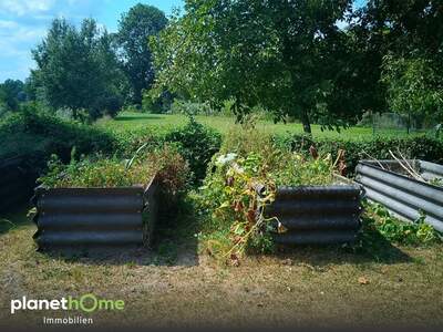 Grundstück kaufen in 2410 Hainburg (Bild 2)