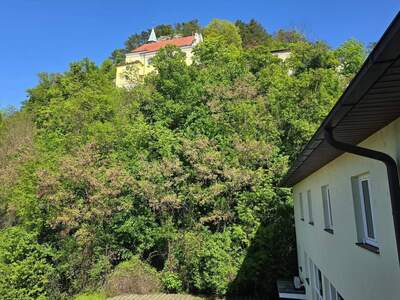 Wohnung mieten in 2823 Pitten