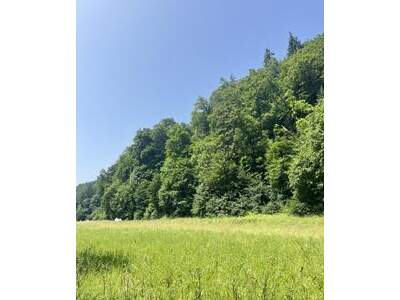 Grundstück kaufen in 8051 Graz