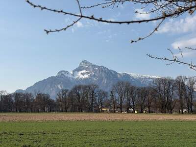 Grundstück kaufen in 5020 Salzburg (Bild 1)