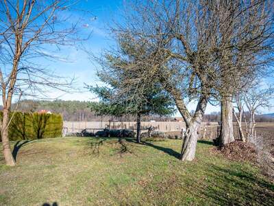 Haus mit Garten kaufen in 8544 Pölfing (Bild 5)