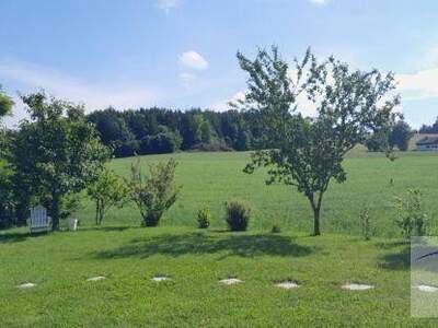 Anlageobjekt kaufen in 5166 Salzburger Seenland