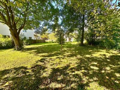 Grundstück kaufen in 2130 Mistelbach