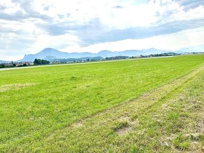 Grundstück kaufen in 5020 Salzburg