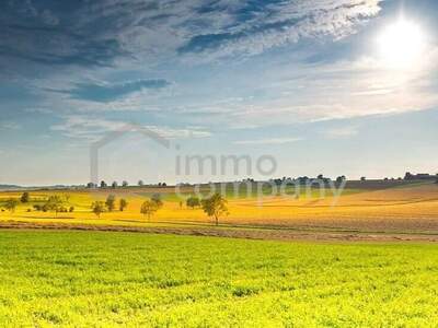 Grundstück kaufen in 7083 Purbach