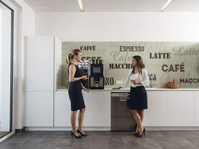 Gewerbeobjekt mieten in 2340 Mödling (Bild 5)