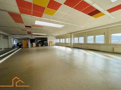 Gewerbeobjekt mieten in 2351 Wiener Neudorf (Bild 3)