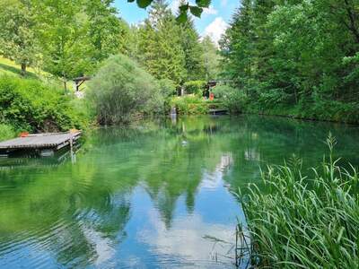 Terrassenwohnung kaufen in 3341 Ybbsitz (Bild 5)