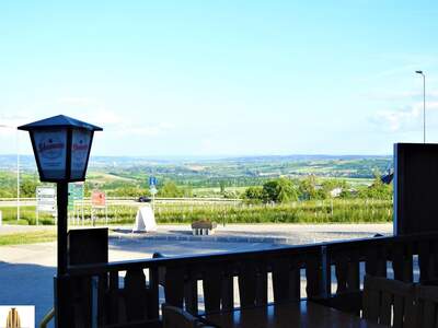 Gewerbeobjekt kaufen in 3712 Maissau (Bild 5)