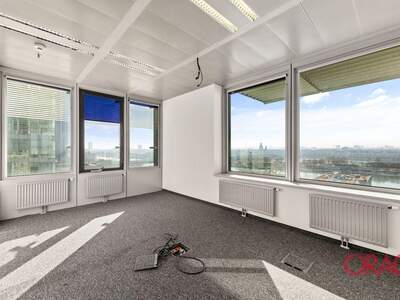 Gewerbeobjekt mieten in 1220 Wien (Bild 4)