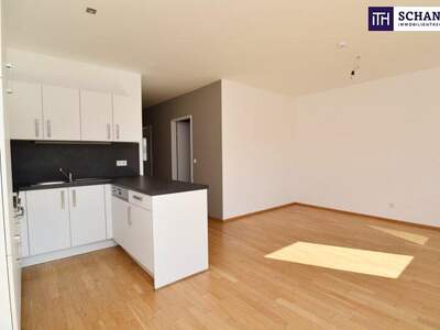 Terrassenwohnung mieten in 8020 Graz (Bild 3)