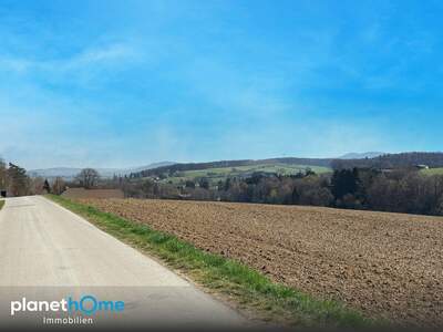 Grundstück kaufen in 3062 Kirchstetten (Bild 4)