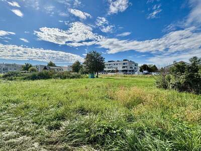 Grundstück kaufen in 7100 Neusiedl