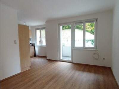 Terrassenwohnung mieten in 2564 Neuhaus (Bild 1)