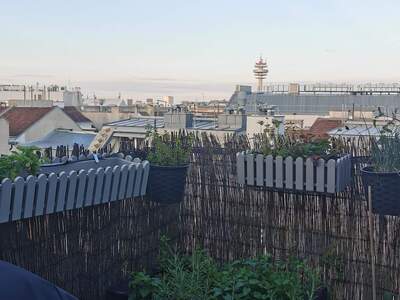 Apartment provisionsfrei mieten in 1100 Wien