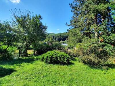 Einfamilienhaus kaufen in 3002 Purkersdorf (Bild 4)
