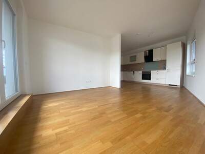 Terrassenwohnung mieten in 2700 Wr. Neustadt (Bild 2)
