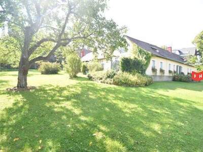 Haus kaufen in 2392 Sulz